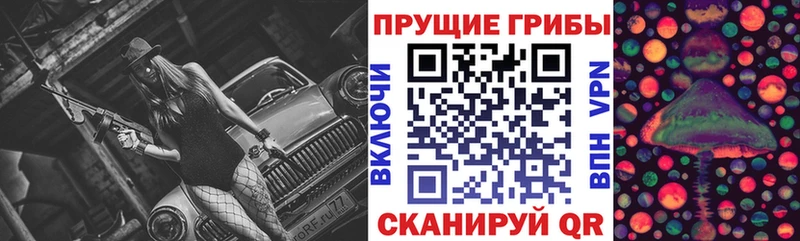 Псилоцибиновые грибы GOLDEN TEACHER  blacksprut вход  Холм 